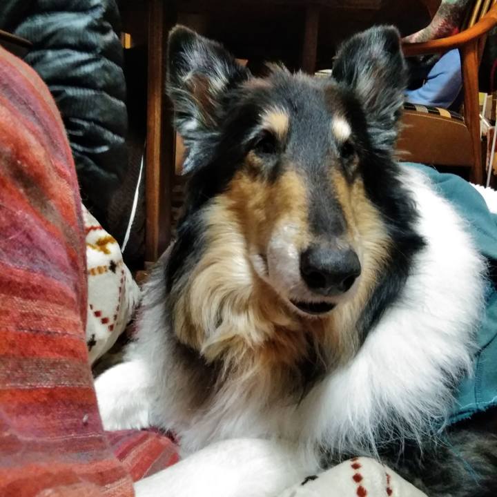 6999ed1a 78f7 44af 8c81 e0b8cd21d463 1547218853998