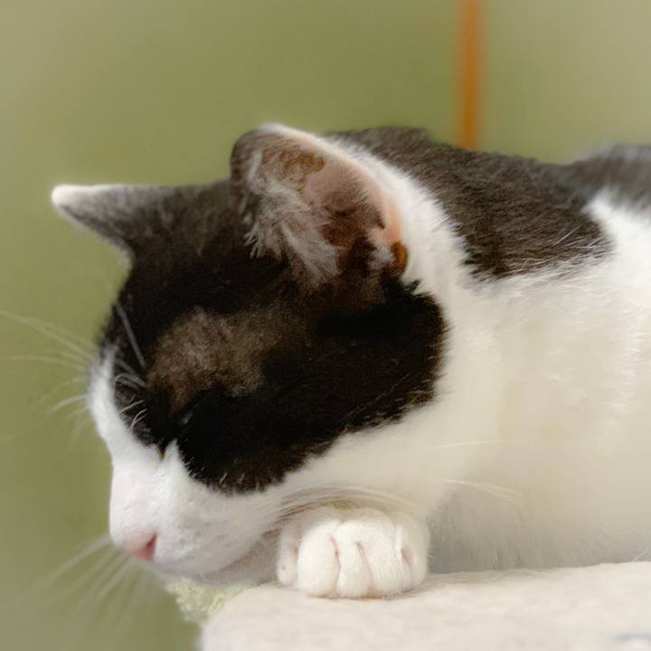 699a0265 6914 42a0 92a1 65618b435cac 1560560624409