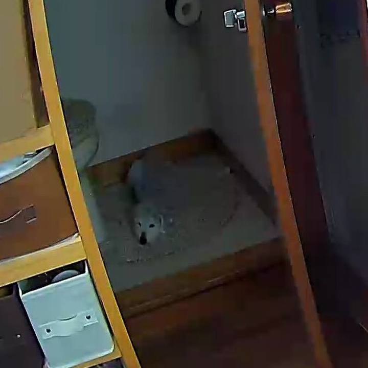 699a0729 8d9f 4940 b743 dbc240223de0 1647497088861