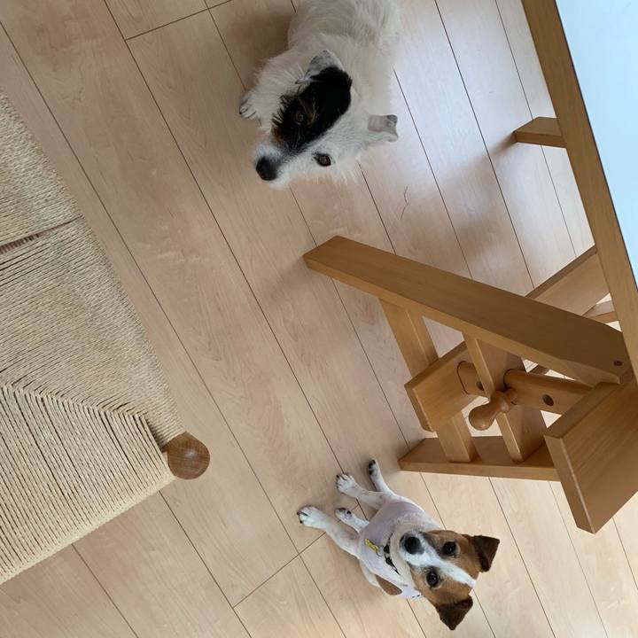 699a1e68 0dbf 4a44 97e9 7c77689f4ed5 1559512269437