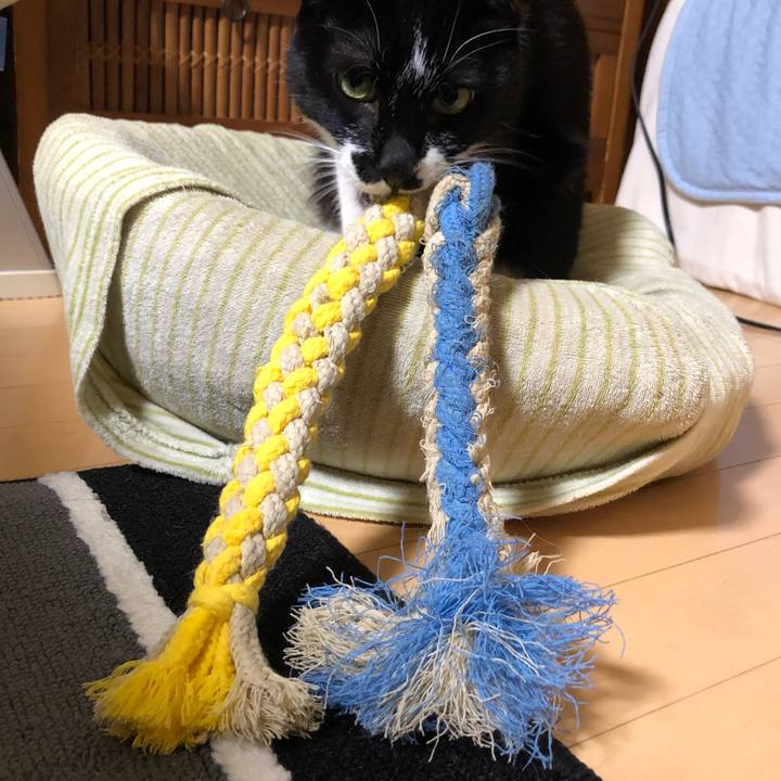 699a3647 ce83 40ae 8aab d9043e58c391 1579178286720