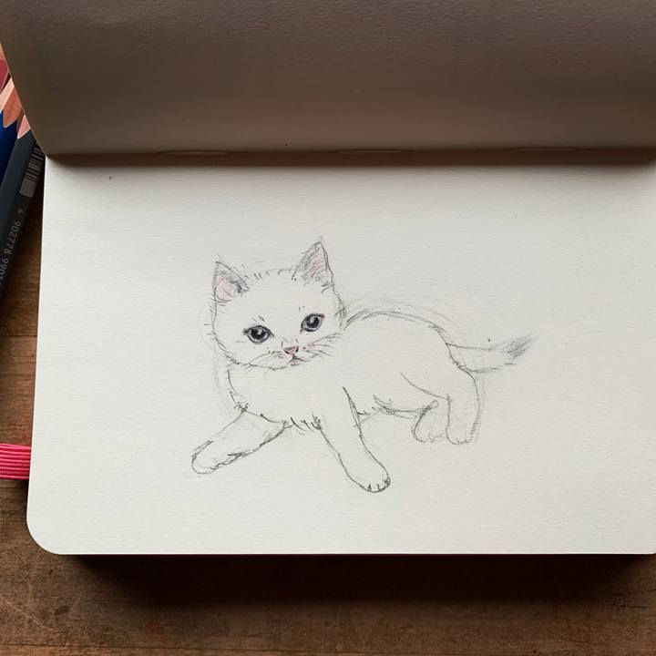 699a7809 67ca 438f aa59 d702cc3db2b3 1678486067684