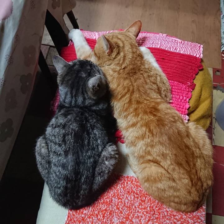 699ad870 016f 4a40 ae52 45a165301751 1554547316702