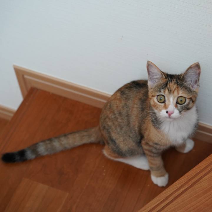 699aed78 1f52 4603 bd8c de1cd7ad1063 1572062891421