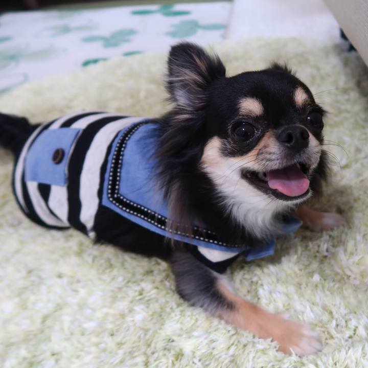 699b00ab 8573 4c30 b589 80641a6ba69e 1564359218950