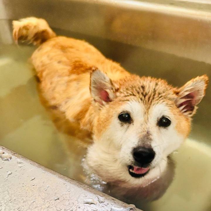 699b2007 49aa 4cd7 9bd3 e1a4a09991b8 1759894923220