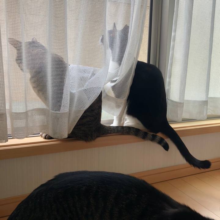 699b8e7e b3d6 4316 a76b 04b28b9e2dbe 1558210265007