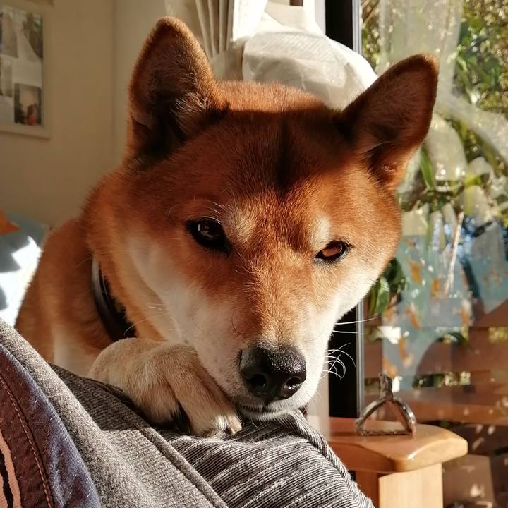 699b93ff 62c6 47af a739 6b83e4b44bcc 1609568164697