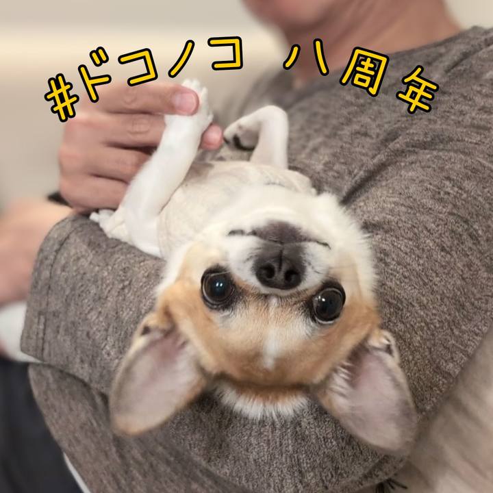 699bde84 4b17 46b5 af22 7756aaf8c7c0 1717543128616