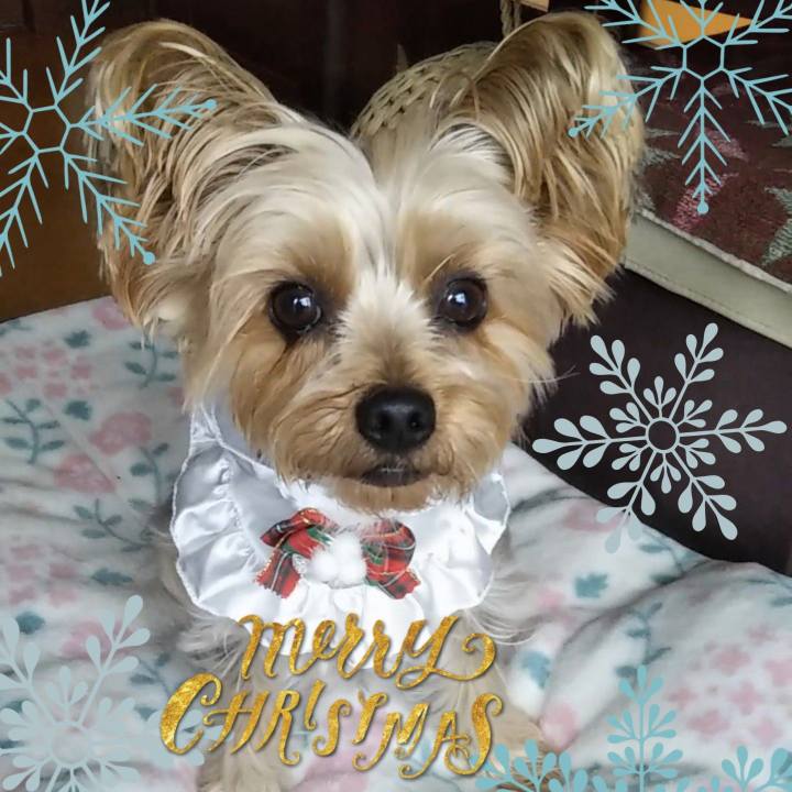 699c13b7 382d 4114 bc21 759ef9974ee0 1640328040981