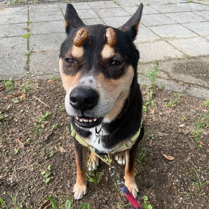 699c3d41 6b84 4caf b4a7 4e8c707995f9 1721049430003