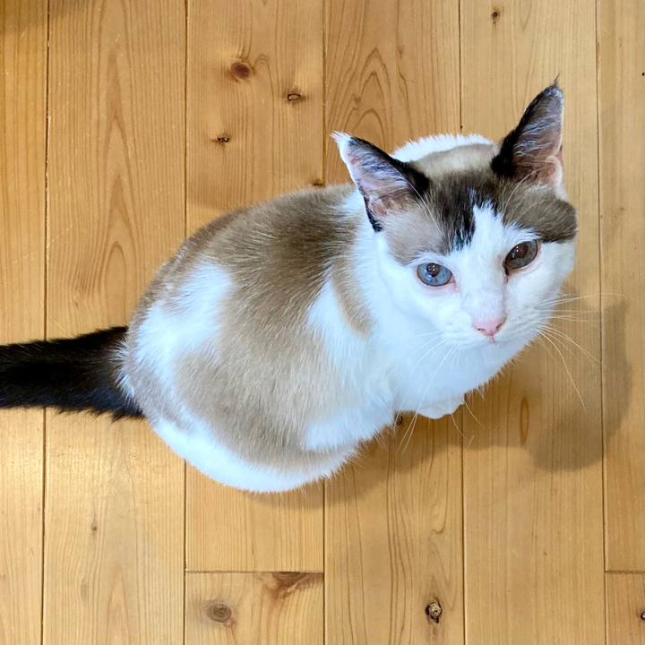 699cf73d 3054 4691 893f 9a37ab7e713f 1661511900916