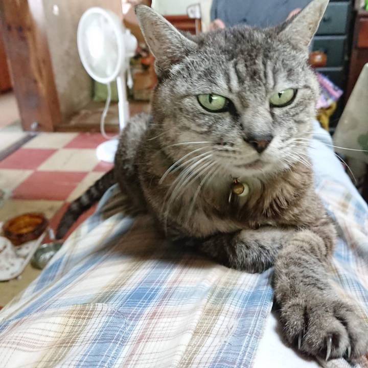 699d21f2 f069 40da 8bbc d25df083a50e 1600114945148