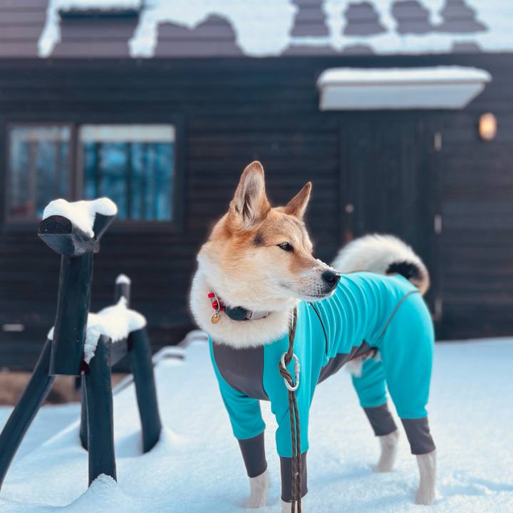 699d3c77 da5c 4da8 b6fe 4a551bf793ad 1773100445611