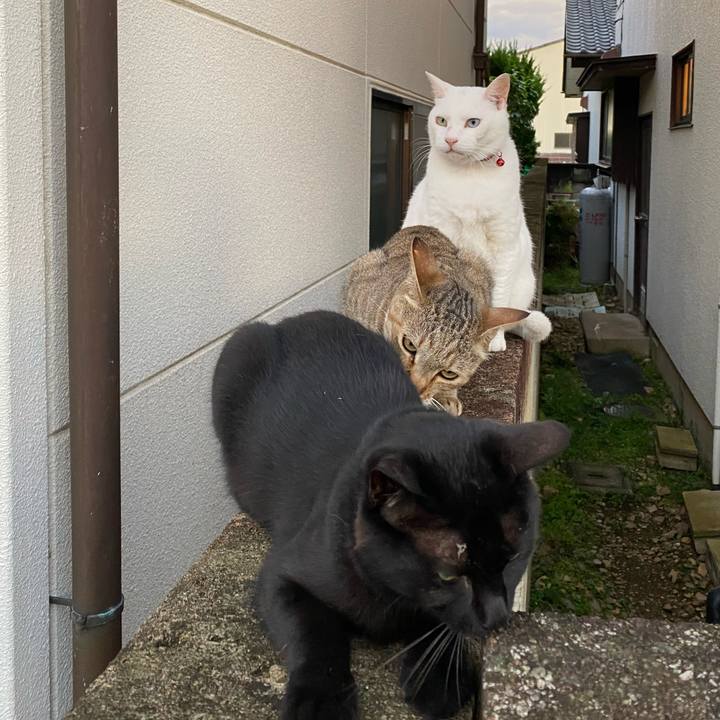 699d43a1 b640 488b 87ca bd09acd4dc37 1625137263136