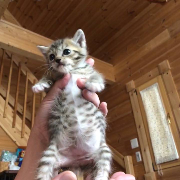 699d51e5 0ed1 43ac 87f9 7f062a381db6 1539480684372