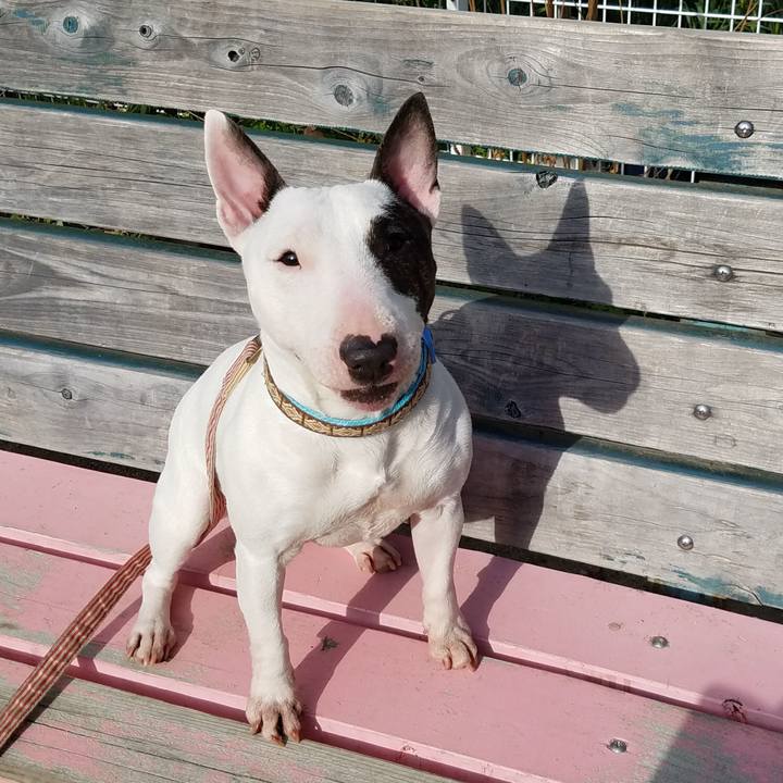 699d6da3 7bb0 432d afee 4d49c44d36d4 1547872666736