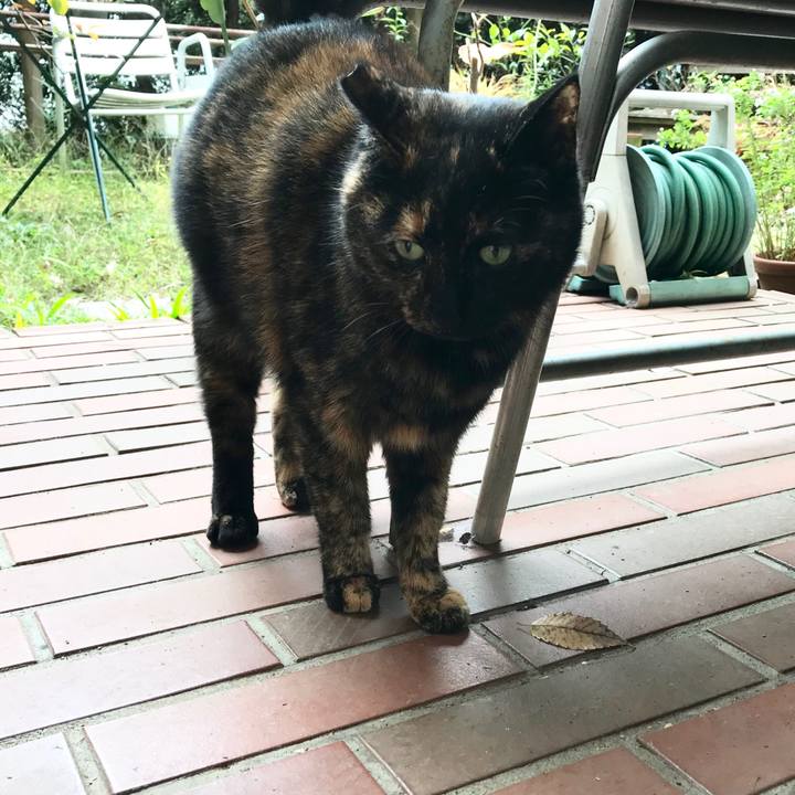 699e1920 ba79 4357 82e8 cbbfe4fb42e0 1510983297039