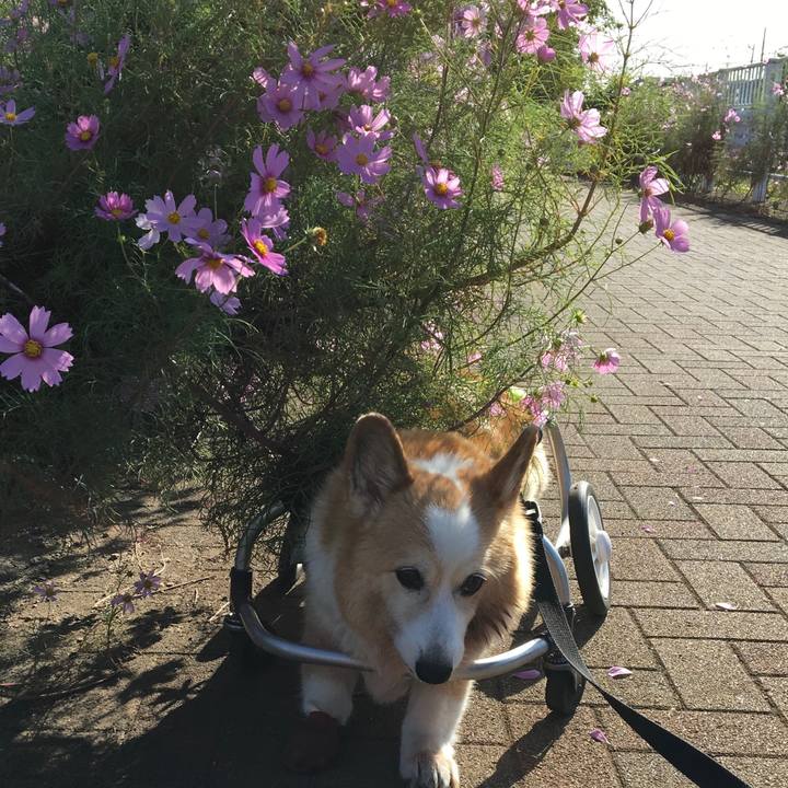 699e9b2f fae1 45b5 aff7 4fd33c079724 1570855757922