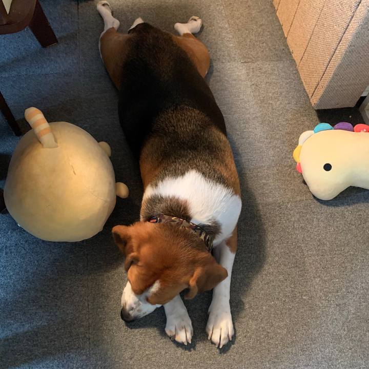 699e9cc0 966a 4cd3 90d8 c6cb50daa24a 1574566895691