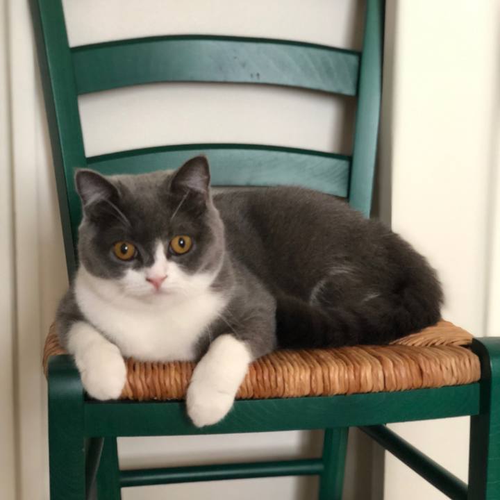 699ea1cf 3dca 47ee b788 34f309c2c66c 1536631023566