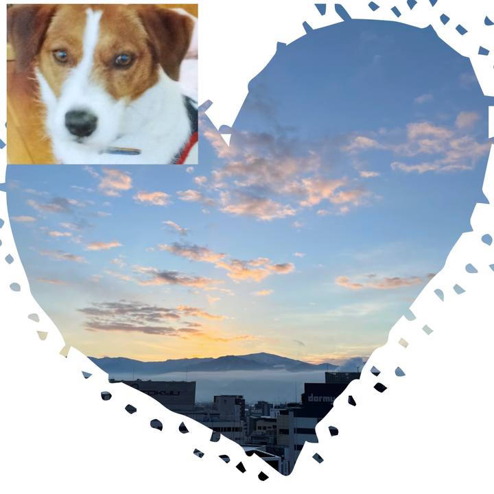 699ed64d 58f7 4bf0 ba6f b0e2a5473293 1643412164194