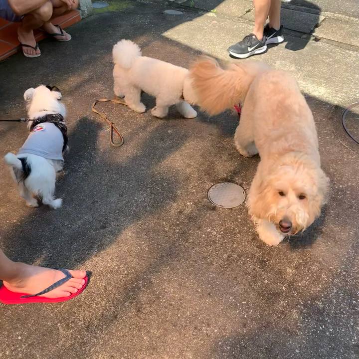 699f4749 2d9e 47f6 977c 04f9b9584e30 1686876637569