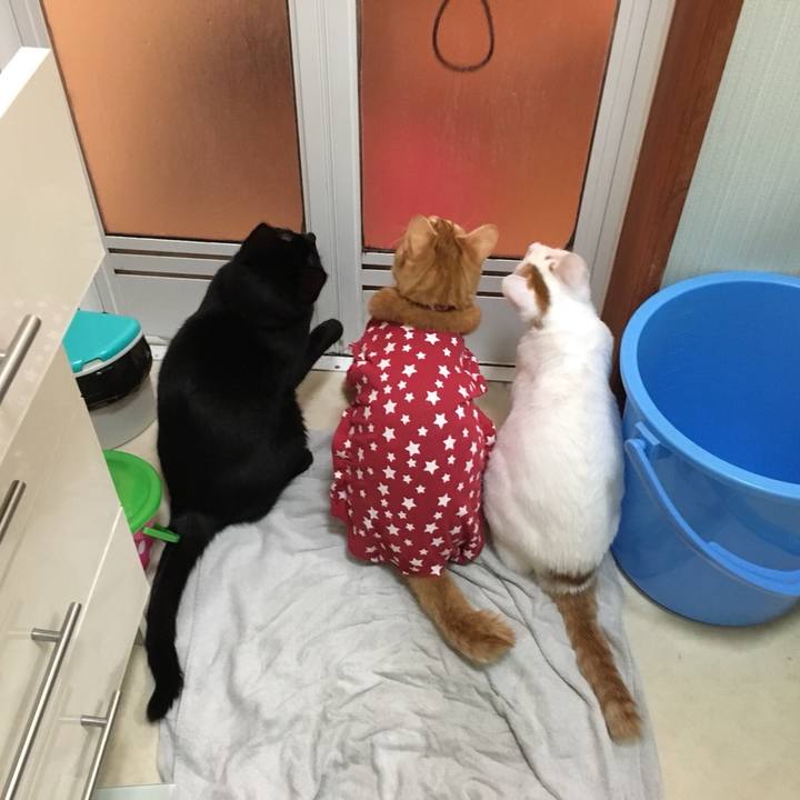 699f57be 481a 43bf bb07 a9c12b83306e 1512826995473