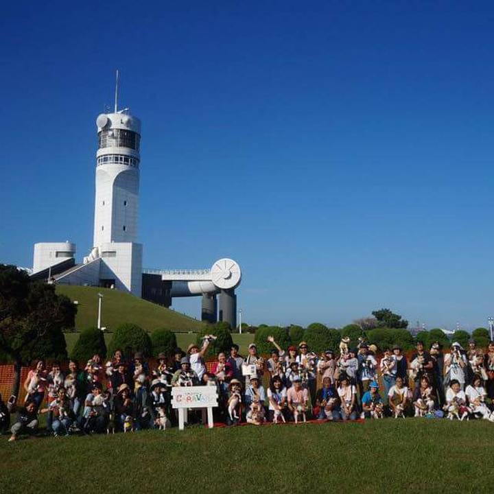 699f9155 eb81 459e b91c 9026b6d5f3af 1538911576418