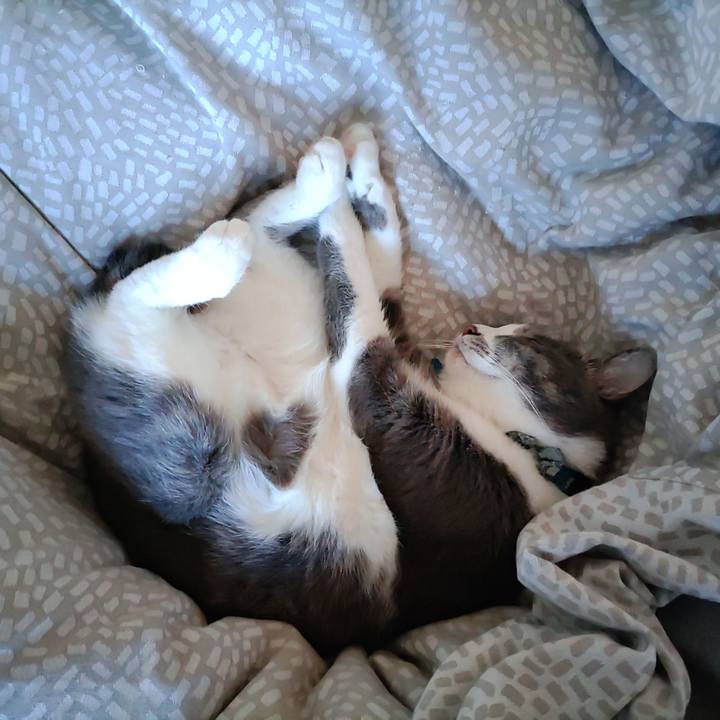 699f975c 1971 4a36 a74f 541897f03658 1705120294670