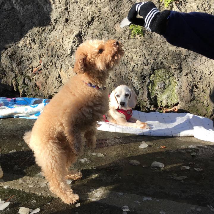 699faaf5 6987 4e36 ba4d d0077cc304a2 1516784250581