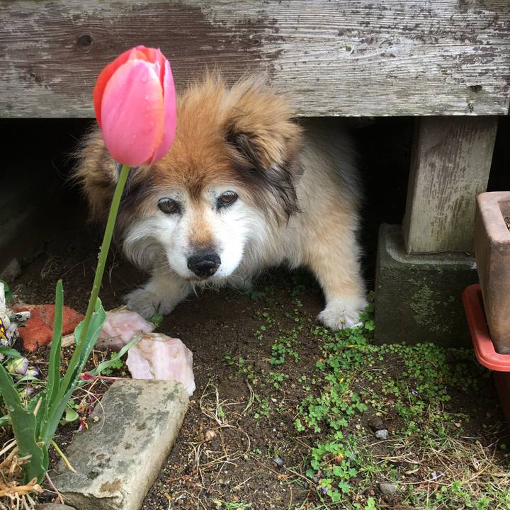 699fcfa4 635a 46ec be39 ca13a7d1c999 1583155075124