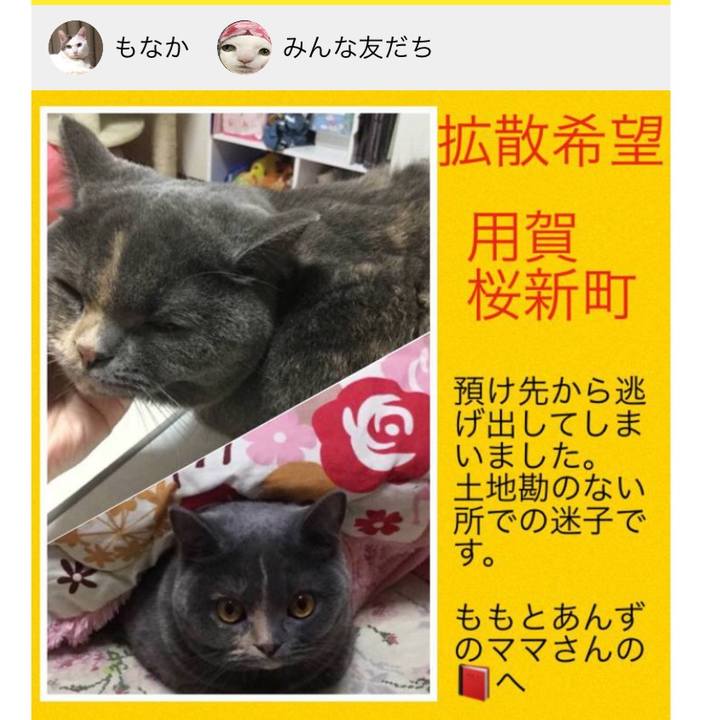 699fe304 3a72 4107 a75f b15fbf2a10e9 1557641674173