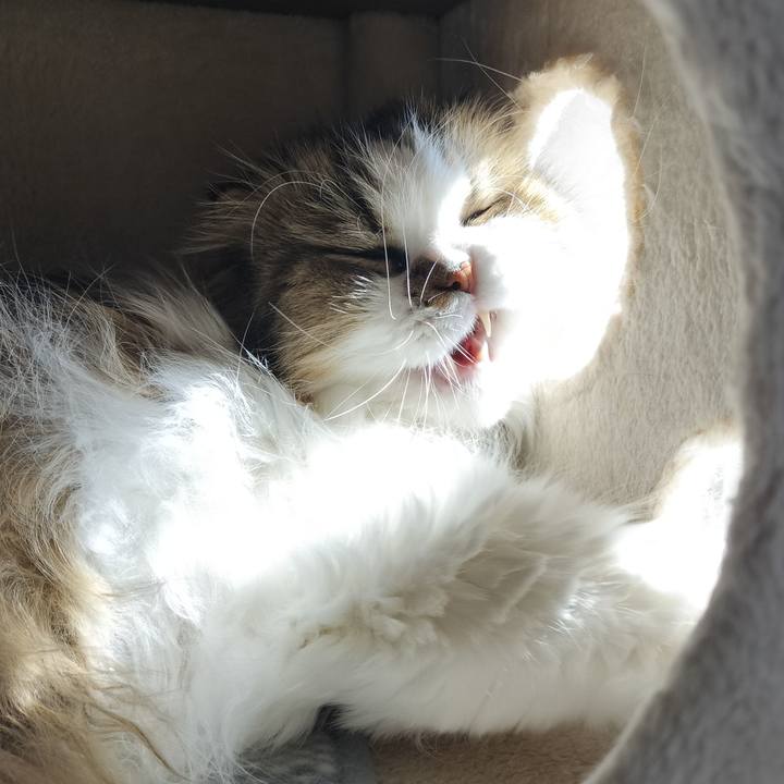 699fe55e 217d 4a95 97d5 948330fd7376 1759555045325