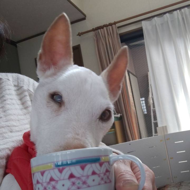 69a02e36 6230 4584 800c 154fcf3aafb9 1585971189930