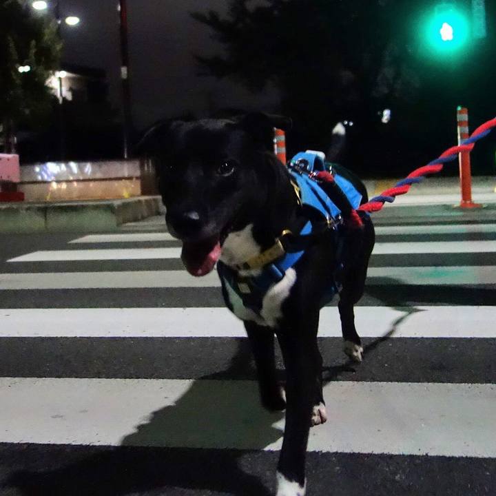 69a05a5c 50f8 476c 9140 21896504d9e1 1630840286283