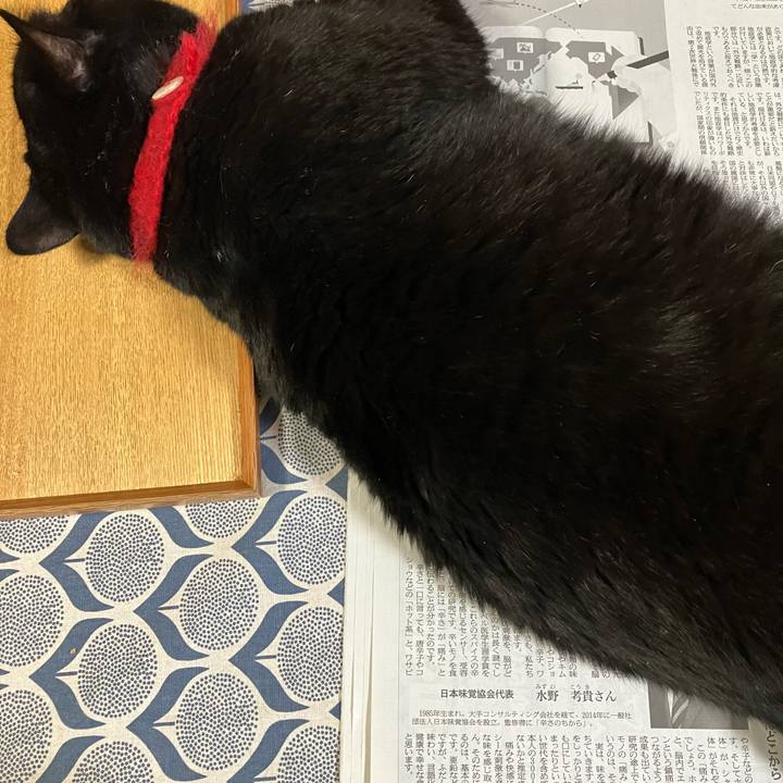 69a06dfe 2e98 402d a488 ab9a94ad050f 1663029954899