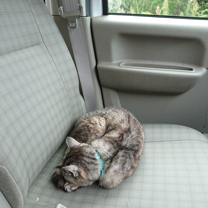 69a088b7 8a54 4e75 81f9 73407f154f75 1569721580066