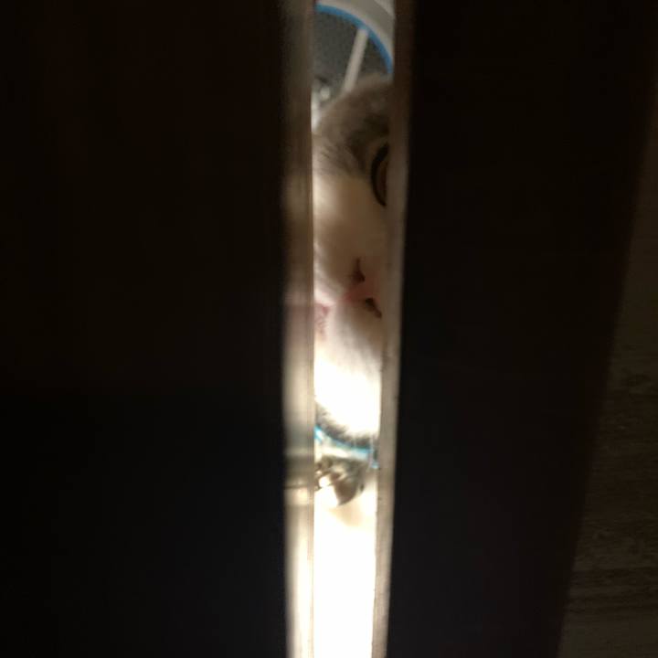 69a0bc9d 006e 495f aaf6 0ea9c4a969e4 1649164820753