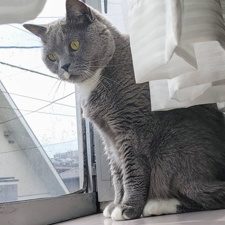 69a11f9b 6f0a 47a8 baad badd5ad4dca8 1748151061360