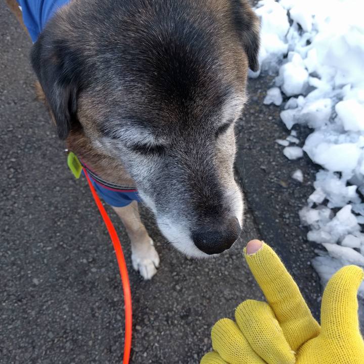 69a12b65 9107 4823 9536 733eb8347e38 1516754103281