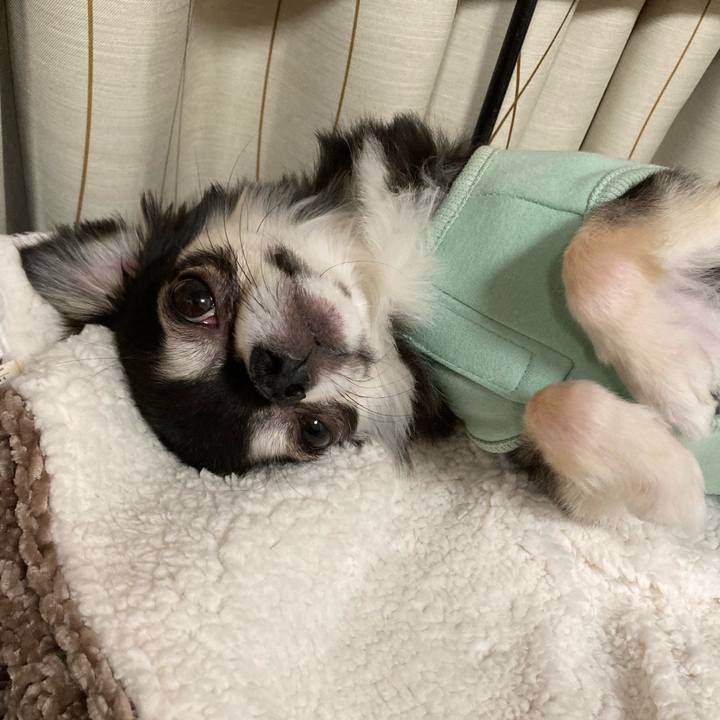 69a13cc2 e20e 4413 a3ed 6fda6266f650 1645971230009