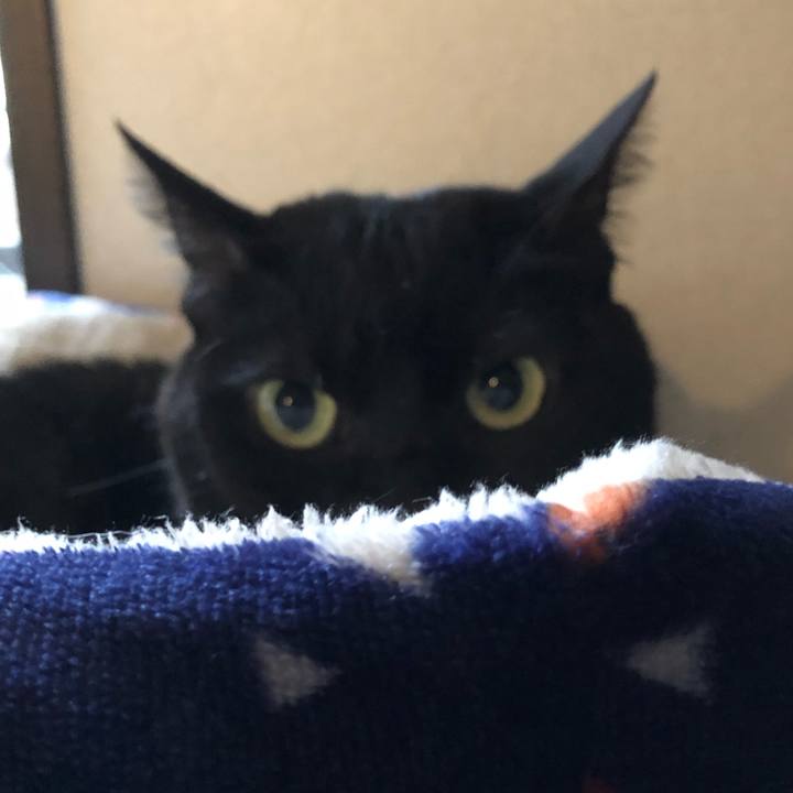 69a14042 5a92 45db bff1 6685c80fc0d7 1608851859553