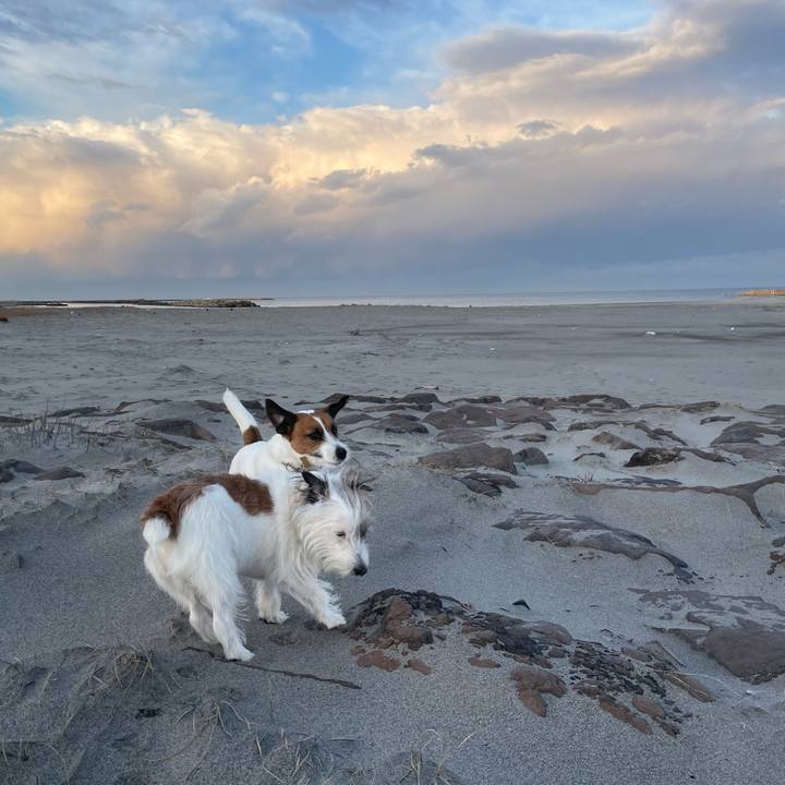 69a1531e bc97 4684 aabf 99c5bdb57ff1 1701904357063