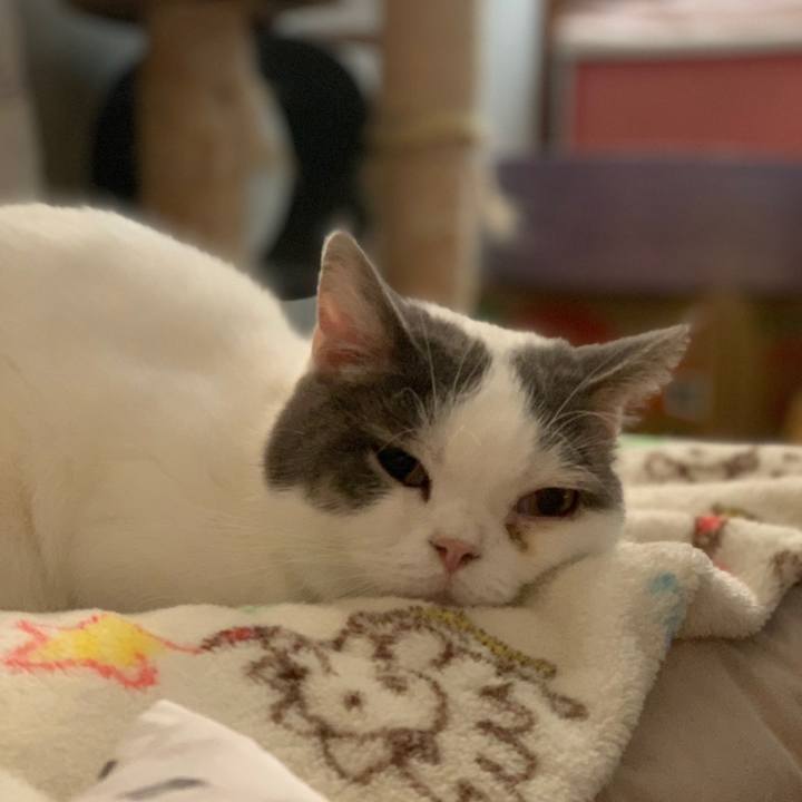 69a19050 46ef 4221 a4c6 15ba840466f0 1635695147922