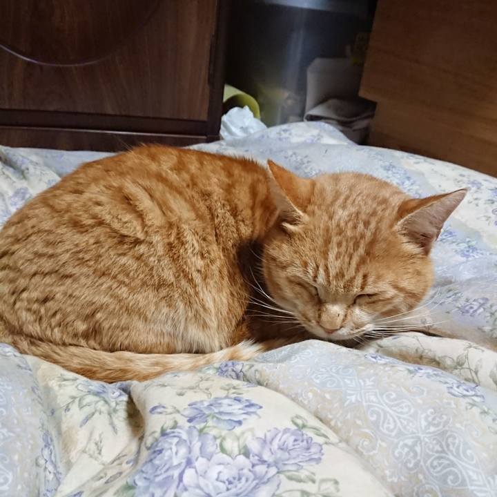 69a19242 38a0 45d2 a520 ebec8d9bc7cf 1579781255620