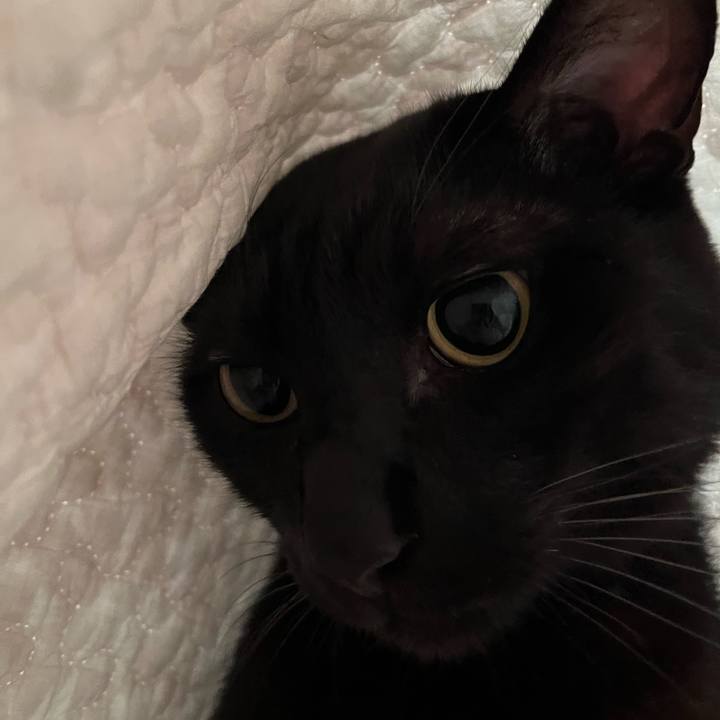 69a1c696 7958 49c1 9357 af58bbc7627f 1689118971560