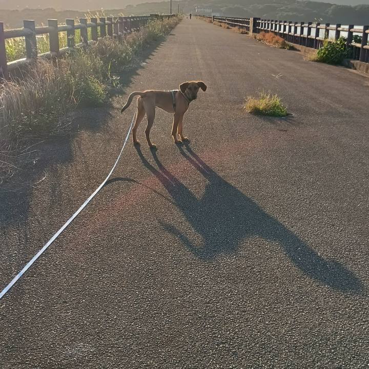 69a1eafd 1c5e 4c8a b751 41e19374effb 1768745559712