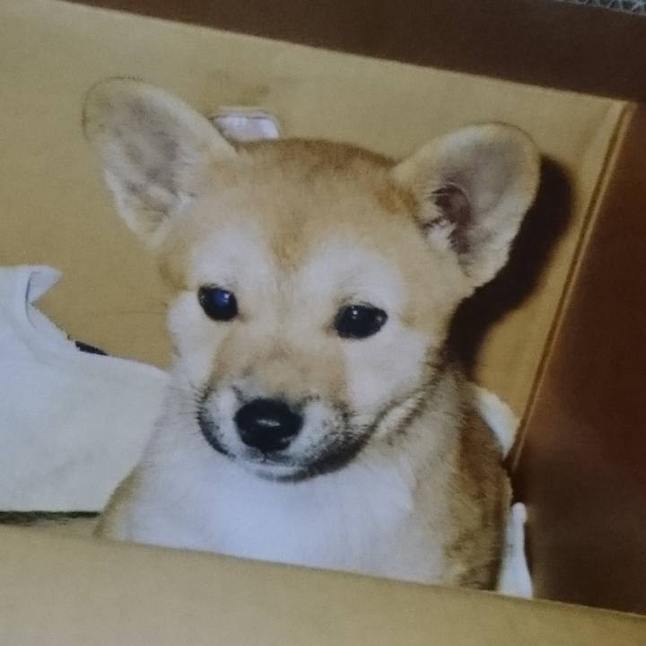 69a23ac7 b77e 400b aba0 750924b64a46 1607224350401