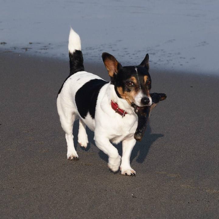 69a25510 1cc6 45ba b600 6a7d0b0bf147 1706760449549